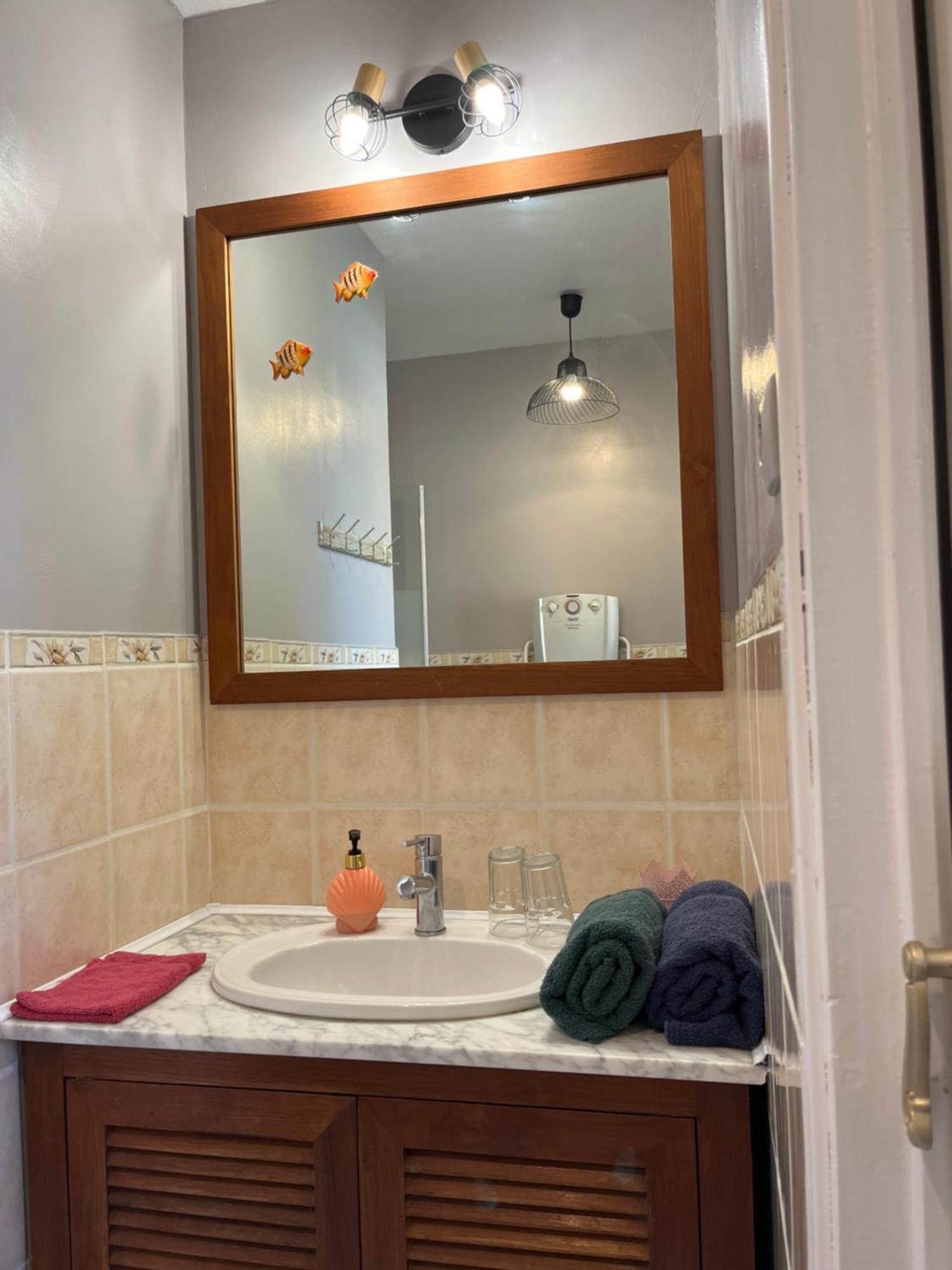 Chambres Et Gite Peyroutas " Camille" Vignonet St Emilion Εξωτερικό φωτογραφία
